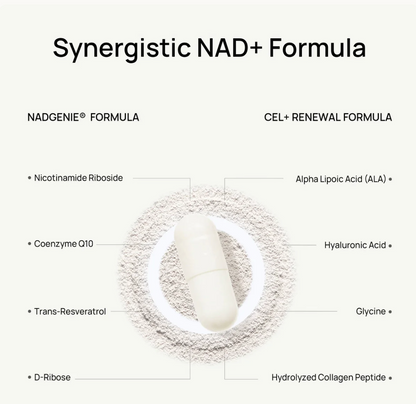 Elora NAD+ Supplement for Women